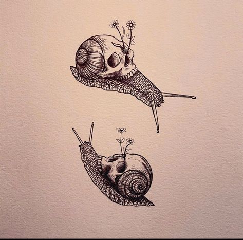 Snail Skull Tattoo, Snail With Skull Shell, Skull Snail, Snail Tattoo, Shell Drawing, Stomach Tattoos, Tattoo Inspo, Tattoo Idea, Tattoos And Piercings