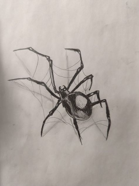 Spider Hand Drawing, Realistic Spider Drawing, Spider Sketch Easy, Spiders Sketch, Drawing Ideas Spider, Spider Drawing Sketches, Spider Drawing Simple, Spider Sketch, Devin Elle Kurtz