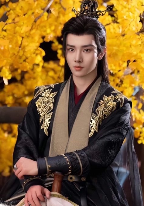 Richard Li Fei, Richard Li, Film China, Persona Anime, Chinese Historical Drama, Chinese Traditional Costume, Ancient Chinese Clothing, Funny Cat Wallpaper, India Dress