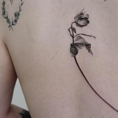 Dry Flower Tattoo, Dry Flowers Tattoo, Dried Rose Tattoo, Dried Flowers Tattoo, Wilting Rose Tattoo, Wilted Rose Tattoo, Dried Flower Tattoo, Rose Side Tattoo, Dead Rose Tattoo