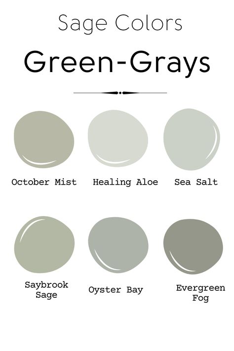 Gray Green Paint Colors, October Mist, Benjamin Moore Green, Sage Colors, Healing Aloe, Green Grey Paint, House Color Palettes, Farmhouse Paint, Paint Color Schemes