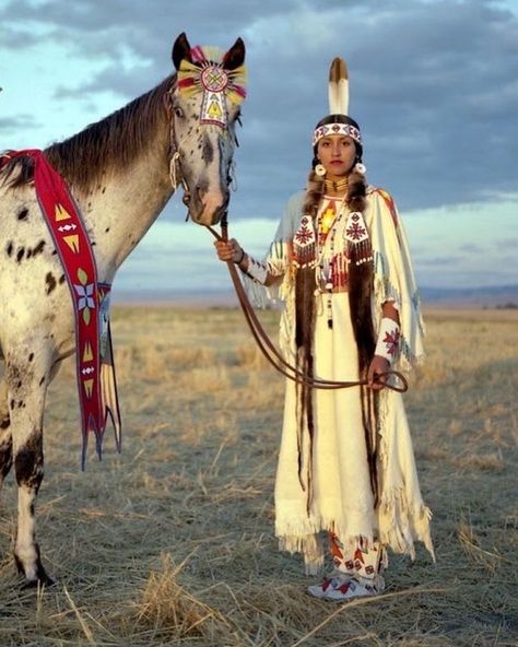 Native Woman, Native American Dance, American Indian Girl, Native American Dress, Native American Horses, Native American Woman, American Indian History, Native American Images, Native American Paintings