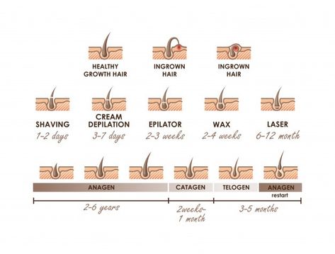 Treating Toenail Fungus, Pedicure Procedure, Hair Growth Stages, Ingrown Hair Removal, Spa Manicure, Ingrown Nail, Growth Hair, Ingrown Toe Nail, Nail Growth