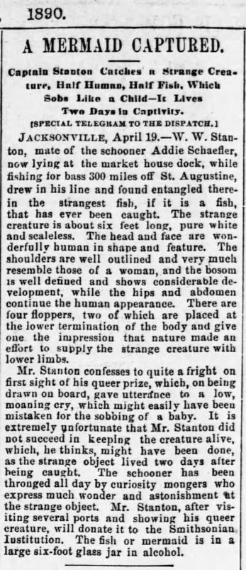 Mermaid Captured, Strange Names, Mermaid History, Mermaid Journal, Nephilim Giants, Language Journal, World Mythology, History Nerd, Newspaper Article