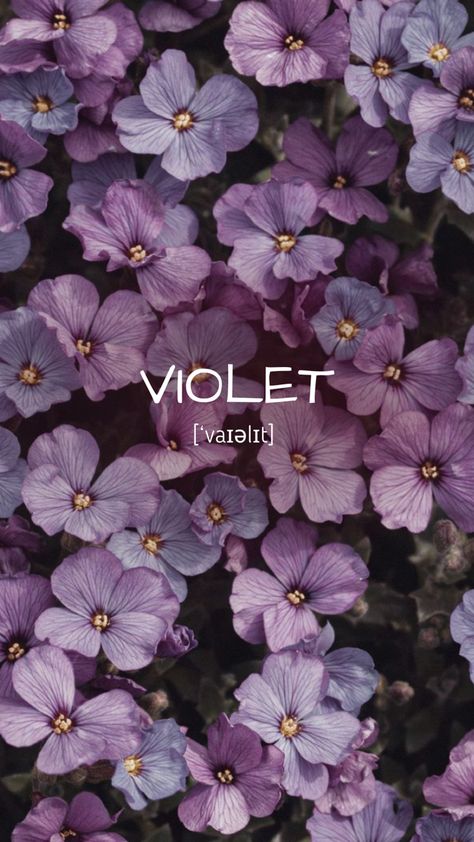 Violet Name, Imagenes Aesthetic, February Birth Flowers, Pineapple Wallpaper, Violet Aesthetic, Violet Plant, Aesthetic Names, Diy Journal Books, Beautiful Wallpaper For Phone