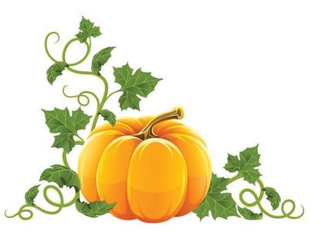 Pumpkin Illustration Autumn, Creative Pumpkin Decorating, Pumpkin Vegetable, Scary Halloween Pumpkins, Creative Pumpkin Carving, Pumpkin Drawing, Pumpkin Images, Pumpkin Illustration, Pumpkin Vector