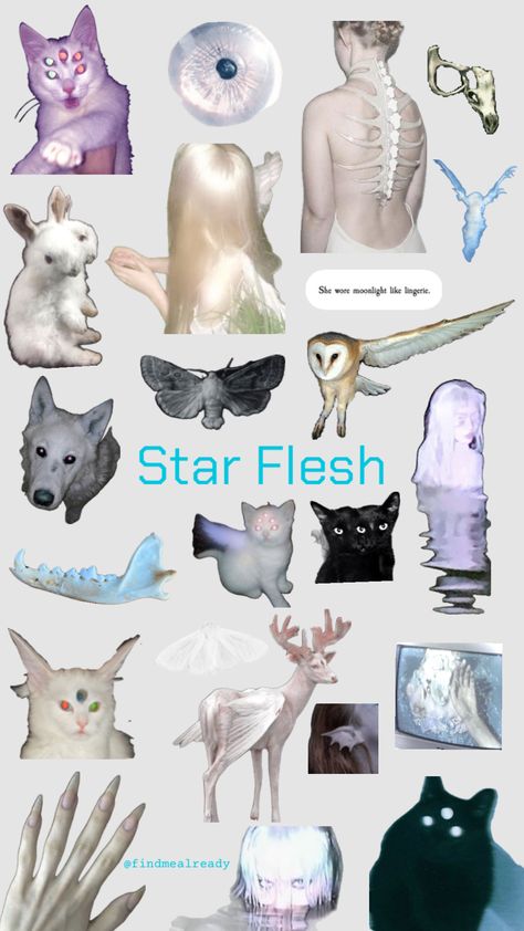 Star Flesh, Starflesh Core, Different Aesthetics, Pretty Animals, Weird Dreams, Purple Aesthetic, Infj, Create Collage, Creative Play