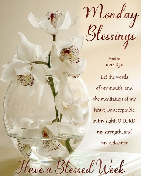 Blessed Week, Monday Blessings monday quotes monday blessings monday images monday quotes and sayings New Week Quotes, Monday Greetings, Sunday Prayer, Have A Blessed Week, Monday Morning Quotes, Showers Of Blessing, Good Monday Morning, Blessed Wednesday, Blessed Week