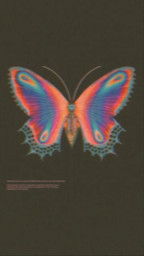 Wallpaper Trippy, Wallpaper Edgy, Wallpaper Butterfly, Butterfly Artwork, Trippy Wallpaper, Hippie Wallpaper, Edgy Wallpaper, Idea Pins, Butterfly Wallpaper