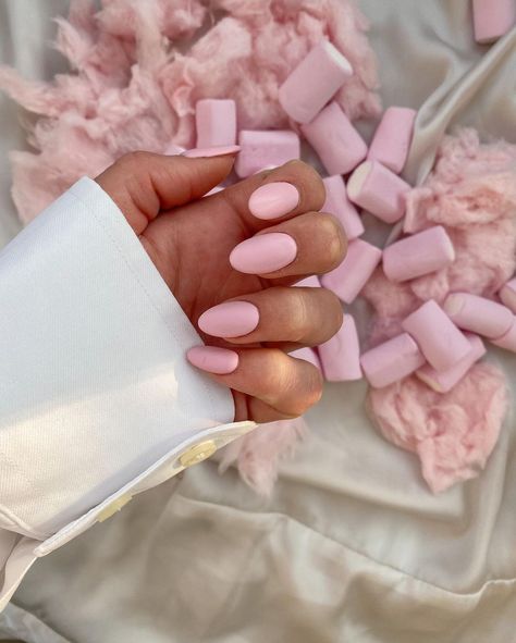 Cotton Candy Pink Nails, Summer Platter, Pastel Pink Nails, Pink Tip Nails, Cotton Candy Nails, Candy Nails, Pink Cotton Candy, Everything Pink, Pink Candy