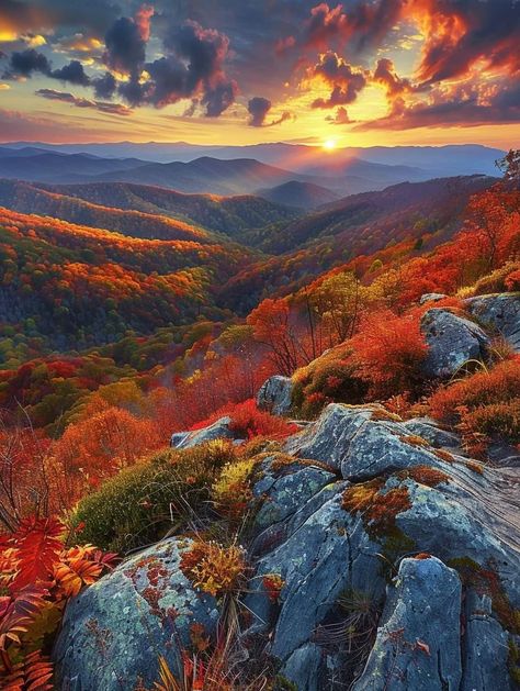 Appalachian Trail Georgia, Season Decorations, Manual Photography, Blue Harvest, Colorado Fall, Autumn Sunset, Vacation Vibes, Autumn Scenes, Autumn Days