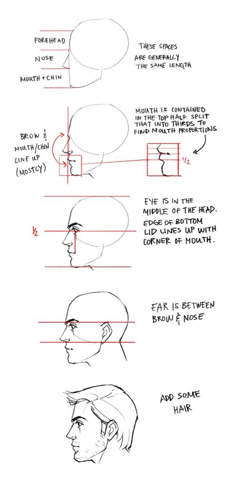 Face Proportions, Profile Drawing, Human Body Art, 얼굴 그리기, Drawing Heads, Drawing Faces, Very Sorry, Anatomy Drawing, Figure Drawing Reference