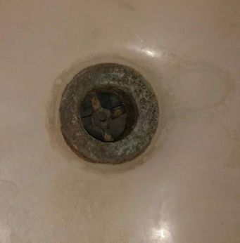 Smelly Shower Drain, Sewer Smell In Bathroom, Black Mold In Shower, Sink Drain Smell, Shower Drain Smell, Clean Shower Drain, Unclogging Drains, Diy Drain Cleaner, Smelly Sink