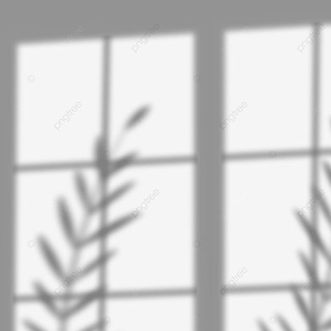 wall with window shadow overlay Window Shadow Png, Shadows Png, Window Overlay, Sunlight Window, Shadow Window, Overlay Photography, Shadow Png, Shadow Overlay, Transparent Wall