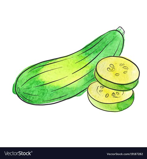 Vegetable Drawing, Draw Water, Zucchini Flowers, Tree Drawings Pencil, Alphabet Images, Art Sketches Pencil, Vegetable Protein, Iphone Wallpaper Tumblr Aesthetic, Vector Drawing