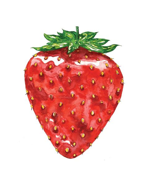 Large Juicy Strawberry Illustration in Watercolor Art Print | Etsy Strawberry Illustration, Giant Strawberry, Strawberry Watercolor, Strawberry Art, Fruits Drawing, Watercolor Food, Watercolor Fruit, Watercolor Prints, Watercolor Paintings Easy