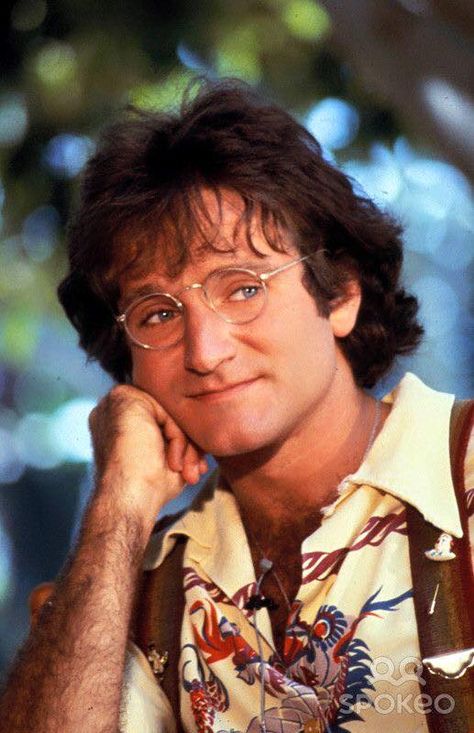 Robin Williams Art, Robin Williams Actor, Madame Doubtfire, Robin Williams Quotes, Mork & Mindy, Hawaii Vintage, Oki Doki, Captain My Captain, Robin Williams