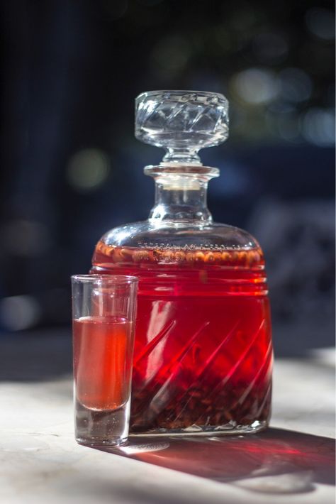 It’s time to enjoy this delicious Fall liqueur that will have your taste buds kicking. Holiday spiced pomegranate is the perfect liqueur to enjoy for Thanksgiving, or even Christmas. Enjoy th… Make Mead, Pomegranate Gin, Homemade Liqueur Recipes, Homemade Liqueur, Pomegranate Liqueur, How To Make Mead, Liqueur Recipes, Diy Alcohol, Witch's Garden