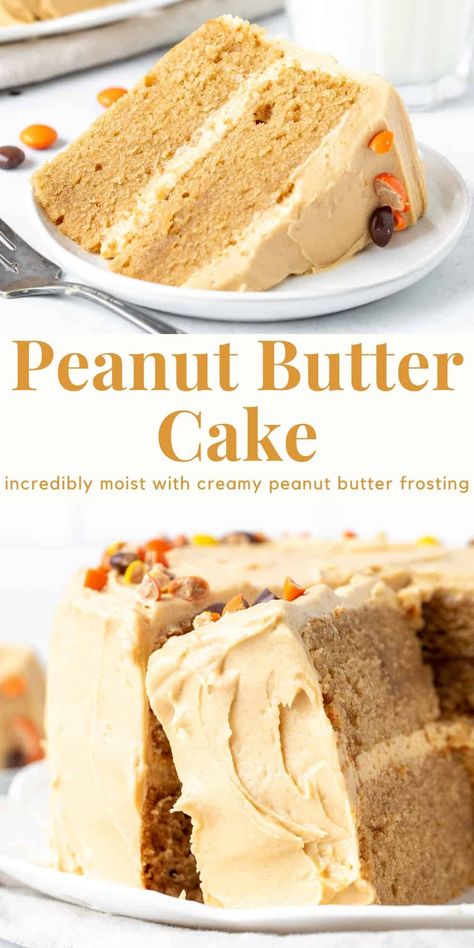 This peanut butter cake is the perfect recipe for true peanut butter lovers! Layers of moist and tender cake with the perfect peanut butter flavor and creamy peanut butter frosting - it's surprisingly not too sweet and loaded with peanut butter. #peanutbuttercake #layercake #peanutbutterfrosting #recipe #peanutbutter from Just So Tasty Peanut Butter Birthday Dessert, Mini Chocolate Peanut Butter Cake, Peanut Butter Mousse Filling For Cake, Best Peanut Butter Cake, Peanut Butter Cake With Chocolate Frosting, Peanut Butter Cake Frosting, Peanut Butter Cake With Chocolate Icing, Peanut Butter Cake Recipe Easy, Peanut Butter And Jelly Cake