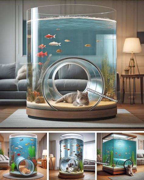 Cool Fish Tanks, Cool Fish, Cat Tunnel, Aquariums, Fish Tank, Fish, Funny, Design