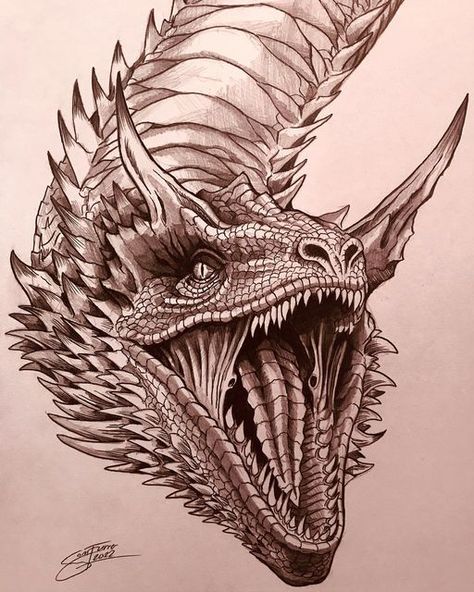 Sammy Furrer on Instagram: "Caraxes, the Red Wyrm und mount of Daemon Targaryen #syrax #caraxes #vhagar #gameofthrones #hbo #asongoficeandfire #asoiaf #dracarys #targaryen #fireandblood #dragon #dragondrawing #dragonartist #creature #fantasy #fantasyart #fantasycreature #instagram #instadraw #reptile #dragonsofinstagram #art #artist #artoftheday #drawingoftheday #drawing #artistoninstagram #hbomax #houseofthedragon #samfuart" Game Of Thrones Dragon Sketch, Drogon Got Sketch, Caraxes Dragon Sketch, Got Dragon Drawing, Syrax Dragon Drawing, Caraxes Dragon Drawing, House Of Dragon Drawing, Caraxes Syrax Dragon, Jormungandr Drawing