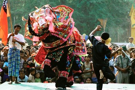 Myanmar Festival, Elephant Festival, Rice Paddies, Myanmar Travel, Lion Costume, Dance Festival, Dance World, Dragon Dance, Myanmar Traditional