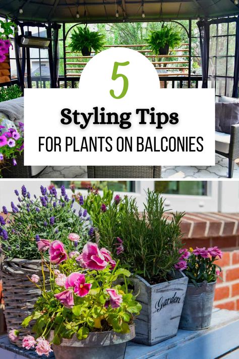 Plants are a perfect way to add more than just greenery to a balcony. With the right styling, you can use them for texture, color and pattern, both in the plants and their pots. Of course, it’s worth considering standard decorating principles when using plants, even outside. So, here are some useful styling tips for plants on balconies to add the most value to your space. Plants For Balcony Apartments, Balcony Pots Ideas, Balcony Hacks, Modern Balcony Garden, Plants On Deck, Balcony Garden Decor Ideas, Balcony Oasis, Flower Arrangements Ideas, Roof Top Garden