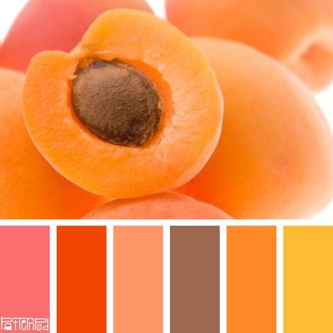 Sweet Apricot #color #colorpalettes | Color | Pinterest | Sweet ... Apricot Color, Design Seeds, Color Balance, Color Stories, Colour Schemes, Color Pallets, Color Swatches, Color Theory, Pretty Colours