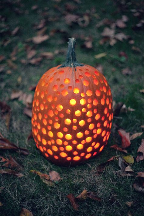 Use a drill to make this polka dot pumpkin. Constellation Pumpkin Carving Ideas, Pumpkin Carving Painting, Awesome Pumpkin Carvings, Unique Pumpkin Carving Ideas, Halloween Pumpkin Carving Ideas, Pumpkins Carving, Pumpkin Carving Patterns Free, Halloween Pumpkin Ideas, Halloween Pumpkin Carving Stencils