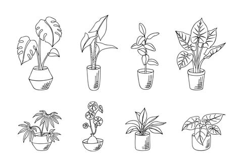 Pot Tattoo, Doodle House, Tiny Tats, Plants In Pots, Plant Tattoo, Hand Drawn Vector Illustrations, Botanical Design, Subtle Tattoos, Plant Drawing