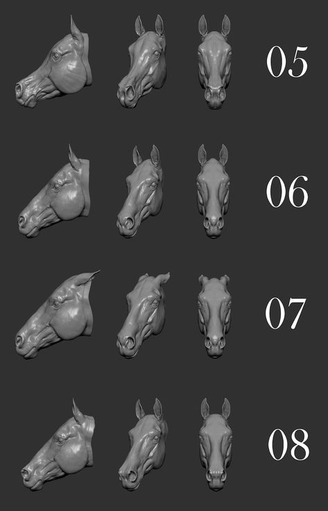 Horse Head for Movable Art Dolls to Make Yourself - Etsy Funny Horse Pictures, Horse Art Drawing, Horse Heads, Anatomy Sculpture, Horse Anatomy, Horse Gear, Animal Study, Horse Drawing, Horse Drawings