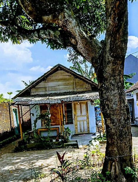 Rumah kayu sederhana milik mertua yang tidak ditempati. Rumah ini yang menemani masa kecil istri. Sengaja tidak ditempati —entah sementara atau tidak akan dihuni lagi— karena keperluan pekerjaan dan yang mengharuskan penghuninya meninggalkannya. Alhamdulillah, masih dirawat (sekadarnya) oleh saudara yang tinggal di samping rumah. Desa Denanyar, Kecamatan Jombang, Kabupaten Jombang, Provinsi Jawa Timur Heritage House, Indonesia, Cabin, House Styles, Quick Saves, Home Decor, Nature, Home Décor