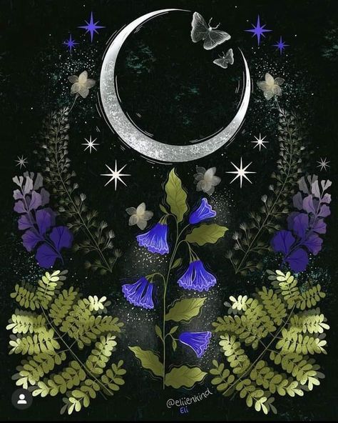 Witchy Canvas Art, Lunar Moth Art, Witchy Artwork, First Quarter Moon, Moon In Virgo, Live Life In Full Bloom, Quarter Moon, Dark Forest Aesthetic, Moth Art