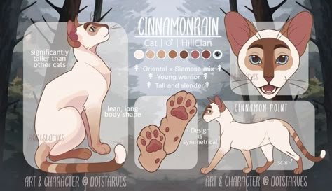 Cat Oc Reference Sheet, Oc Reference Sheet, Oc Reference, Cat Anatomy, Warrior Cat Drawings, Warrior Cat Oc, Cat Oc, Cat Reference, Beautiful Sketches