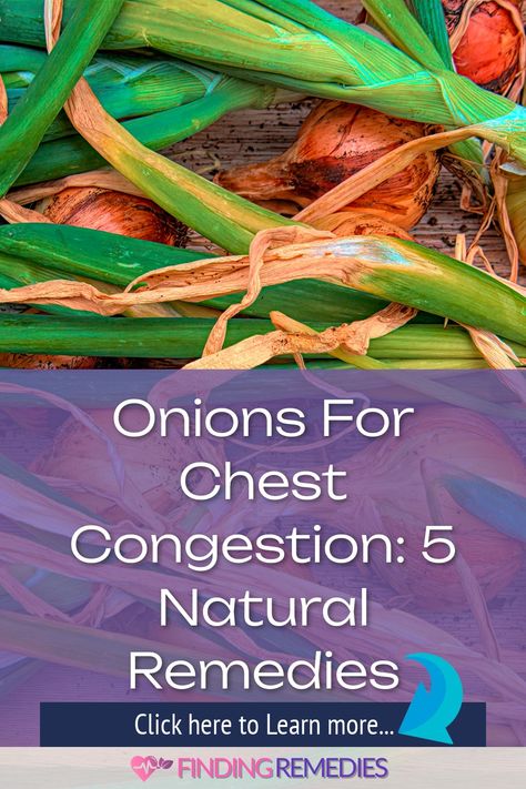 Onions for Chest Congestion: 5 Natural Remedies Chest Congestion Remedies, Congestion Remedies, Chest Cold, Cough Suppressant, Chest Congestion, Asthma Symptoms, Respiratory Illness, Respiratory Infection, Allergy Relief