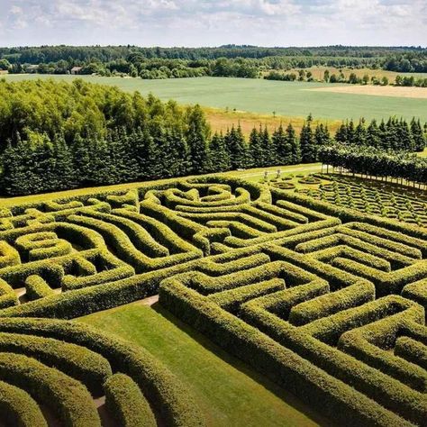 Garden Mazes 🌳 The fashion for garden mazes dates back to the Middle Ages. Initially, they held some sacred significance, but later they became an exquisite decoration and entertainment. Neither adults nor children will be bored in a garden with at least a small green maze. But today we’ll show you the biggest ones. Swipe through the carousel! 😍 🌿 Longleat Hedge Maze in England The path length is 2.72 km, and the area is 0.6 hectares, which is a real world record! 🌿 Labirinto della M... Garden Mazes, Vintage Mansion, Hedge Maze, Famous Gardens, Dream Mansion, World Record, The Middle Ages, World Records, Middle Ages