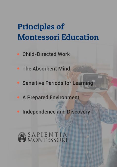 What is The Montessori Method? | What is Montessori What Is Montessori Education, Montessori Jobs, Montessori Lesson Plans, Rocking Bed, Montessori Theory, Montessori Philosophy, Montessori Resources, Montessori Principles, What Is Montessori