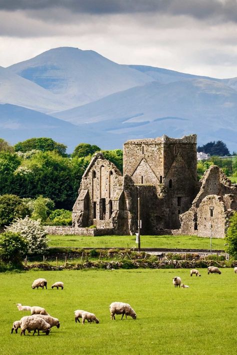 Add these beautiful Irish cities to your Ireland Bucket List! Irish Aesthetic, Ireland Bucket List, Driving In Ireland, Kilkenny Castle, Irish Country, Ireland Itinerary, Irish Castles, Irish Landscape, Ireland Landscape