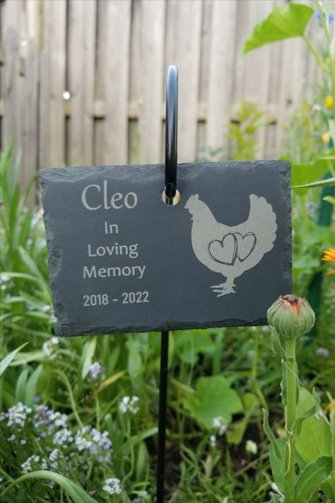 Engraved black slate stone memorial for a chicken hen. The image of the hen has a heart in the middle of the body. Personalized name and memorial phrase. Pet Chicken, Slate Signs, Pet Memorial Stones, Pet Grave Markers, Chicken For Dogs, Fayetteville Arkansas, Gift Jar, Stone Engraving, Memorial Signs