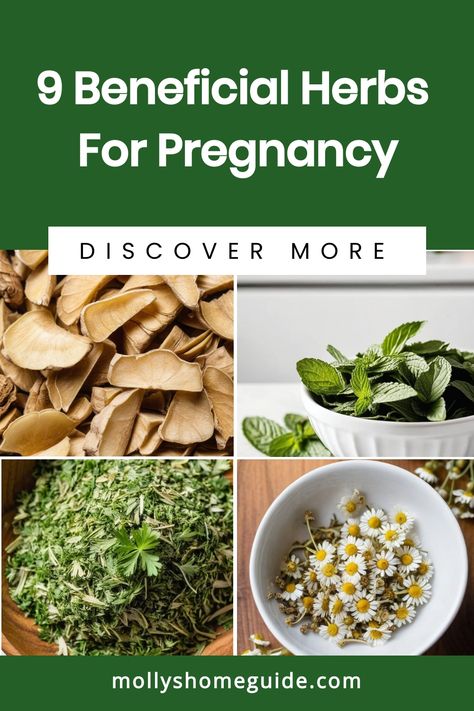 Looking for safe and natural ways to support your pregnancy journey? Explore the best herbs for pregnancy, including safe options to use during this special time. From herbs for fertility to those helping with nausea during pregnancy, discover medicinal herbs that can help with various aspects of your journey from conception to postpartum. Learn about safe herbs for pregnancy and breastfeeding as well as natural remedies that can enhance your well-being throughout this incredible experience. Herbs For Pregnancy, Healthy Uterus, Fennel Seeds Benefits, Herbs For Fertility, Nausea During Pregnancy, Diet While Pregnant, Nausea Pregnancy, How To Help Nausea, Early Pregnancy