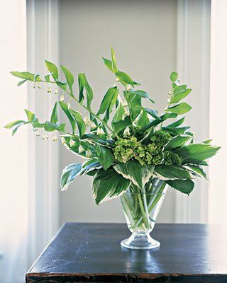 Leaf Arrangements, Hosta Leaves, Leaf Bouquet, Foliage Arrangements, Fair Maiden, Green Centerpieces, Greenery Arrangements, Hosta Plants, Green Stuff