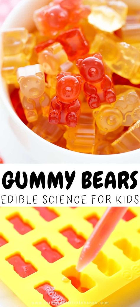 Gummie Bear Recipe, Easy Gummy Recipe, Gummy Bear Ice Cream, Organic Gummy Bear Recipe, Homemade Gummy Bears With Jello, Gummy Worm Recipe, Natural Gummy Bear Recipe, Spicy Gummy Bears Recipe, Gummy Bear Recipe With Gelatin