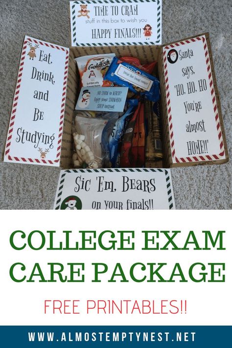 Final Exam Care Package College Students, Finals Care Package Ideas, Exam Care Package, College Finals Care Package, Prepackaged Snacks, Finals Care Package, Diy Care Package, College Finals, College Exams