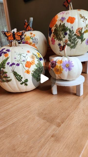 Shifrah on Instagram: "The perfect fall craft! All you need is a white pumpkin 🎃 modge podge and dried pressed flowers 💐 #craft #fallcraft #diy #pumpkinseason #art #crafts" Modge Podge Pumpkins, Dried Pressed Flowers, Flowers Craft, Dried And Pressed Flowers, Fall Craft, Modge Podge, Pumpkin Seasoning, White Pumpkins, Art Crafts