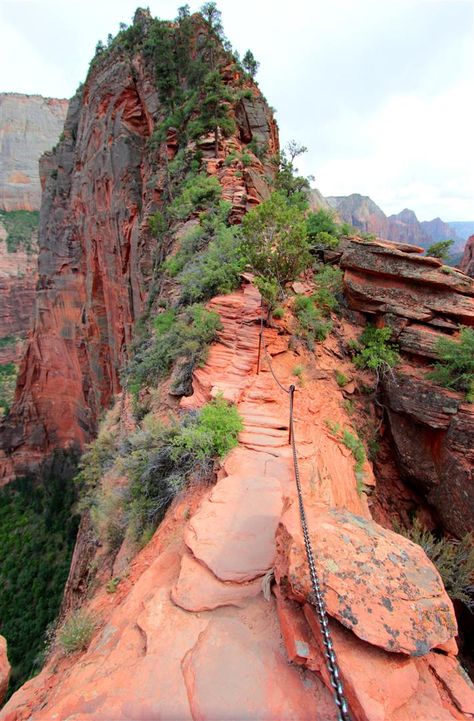 Angels Landing Zion National Park | Angels-Landing-Zion-National-Park Angels Landing Zion National Park, Angels Landing Zion, Utah Vacation, Angels Landing, Zion National Park Utah, Utah Road Trip, Utah Travel, Utah National Parks, National Parks Trip