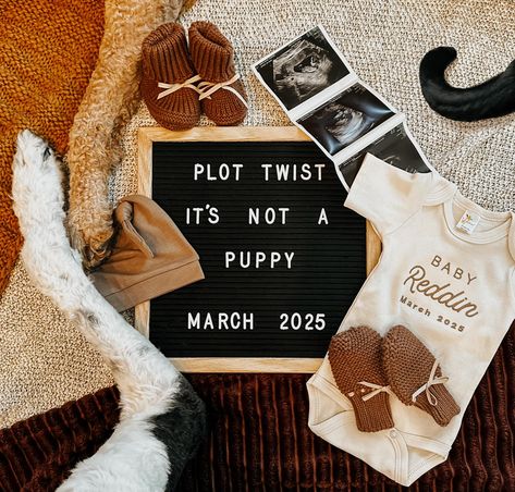 Pregnancy anouncement with 2 dogs and a cat. Pet Baby Announcement, Cat Baby Announcement, Dog Announcing Pregnancy, Dog Pregnancy Announcement Puppies, Baby Announcement Ideas With Dogs, Baby Announcement With Dogs, Dog Gender Reveal, Pregnancy Announcement With Dogs, Pregnancy Announcement With Dog