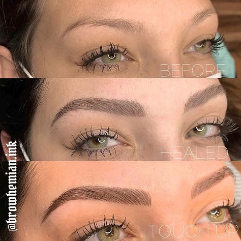 Powder Combo Brows, Healed Powder Brows, Eyebrow Tattoo Healing Process, Combination Eyebrow Tattoo, Combination Microblading Eyebrows, Micro Bladed Brows, Stages Of Microblading Healing, Microshading Eyebrows Healing Process, Ombre Powder Brows Healing Process