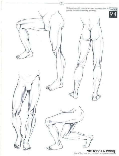 Male Leg Anatomy Drawing, Leg Anatomy, Male Body Drawing, Human Body Drawing, Man Anatomy, Drawing Legs, Human Anatomy Drawing, Human Figure Drawing, Human Anatomy Art