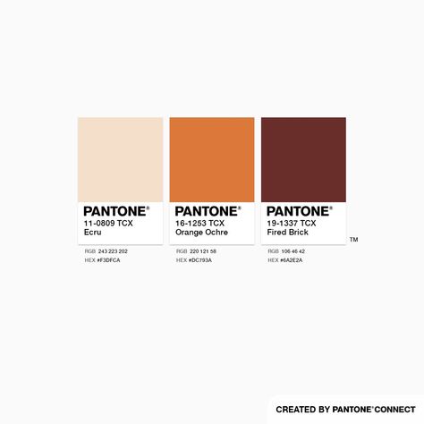 Instagram Design Ideas, Orange Color Combinations, Orange Brick, Luxury Flower Bouquets, Colour Pallets, Color Schemes Colour Palettes, Brick Colors, Deep Autumn, Pantone Colors