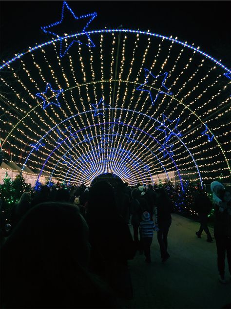 Trail of Lights- Austin, Texas Trail Of Lights, Going Out Makeup, Light Trails, Austin Texas, Austin, Going Out, Texas, Lighting, Makeup